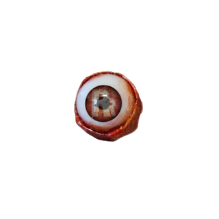 Eyeball Icon